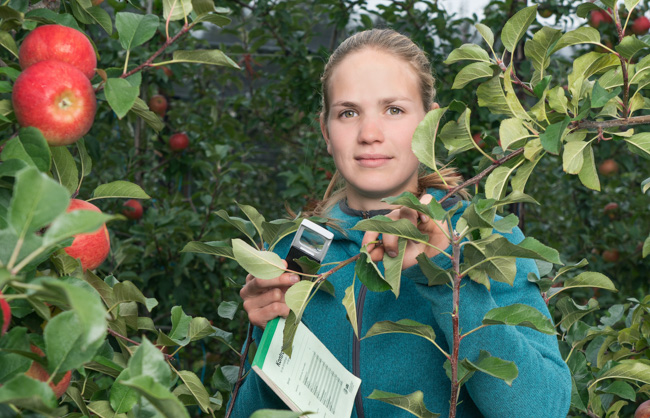 Berufswerbung agrijob